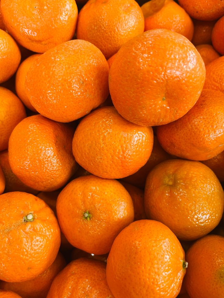 Como escolher entre perfumes cítricos, florais, amadeirados ou orientais