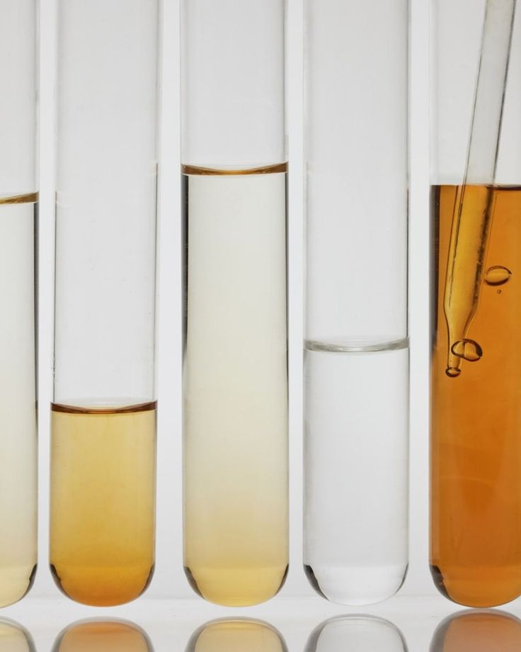 Principais diferenças entre Eau de Parfum, Eau de Toilette e Colônia