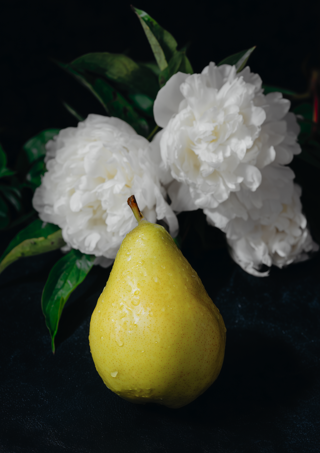 pera e peônias · vela 120g